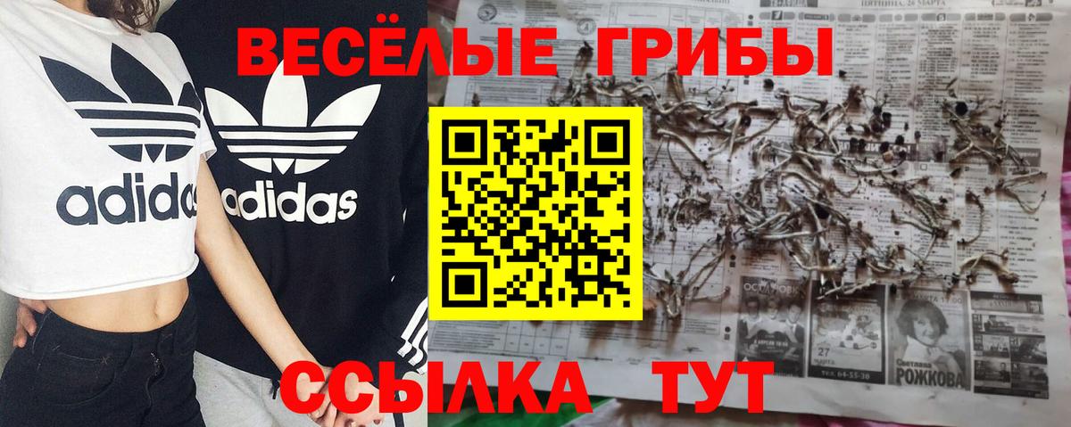 Ирбит  Псилоцибиновые грибы Psilocybe  Вход с VPN  Галлюциногенные грибы мухоморы 